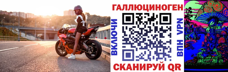 кракен ССЫЛКА  Горно-Алтайск  Галлюциногенные грибы MAGIC MUSHROOMS 