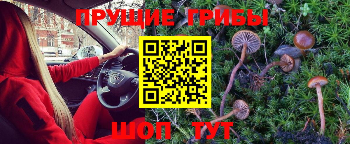 Галлюциногенные грибы MAGIC MUSHROOMS Горно-Алтайск