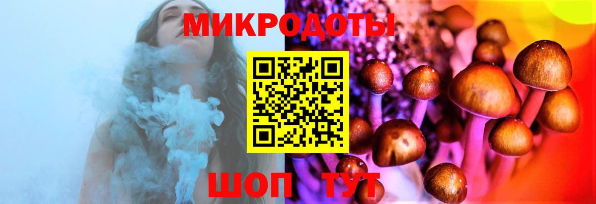 Горно-Алтайск  Галлюциногенные грибы Psilocybe  Вход с VPN 